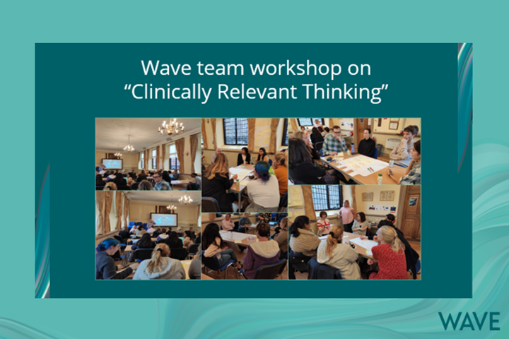 Wave team workshop on "Clinically Relevant Thinking"