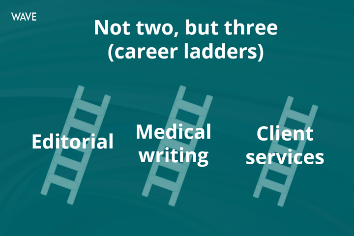 Not two, but three (career ladders)